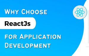 ReactJs application development 